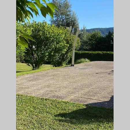 Die Seeblume - Ferienwohnung mit Pool und Seeblick Bodman-Ludwigshafen Exterior foto
